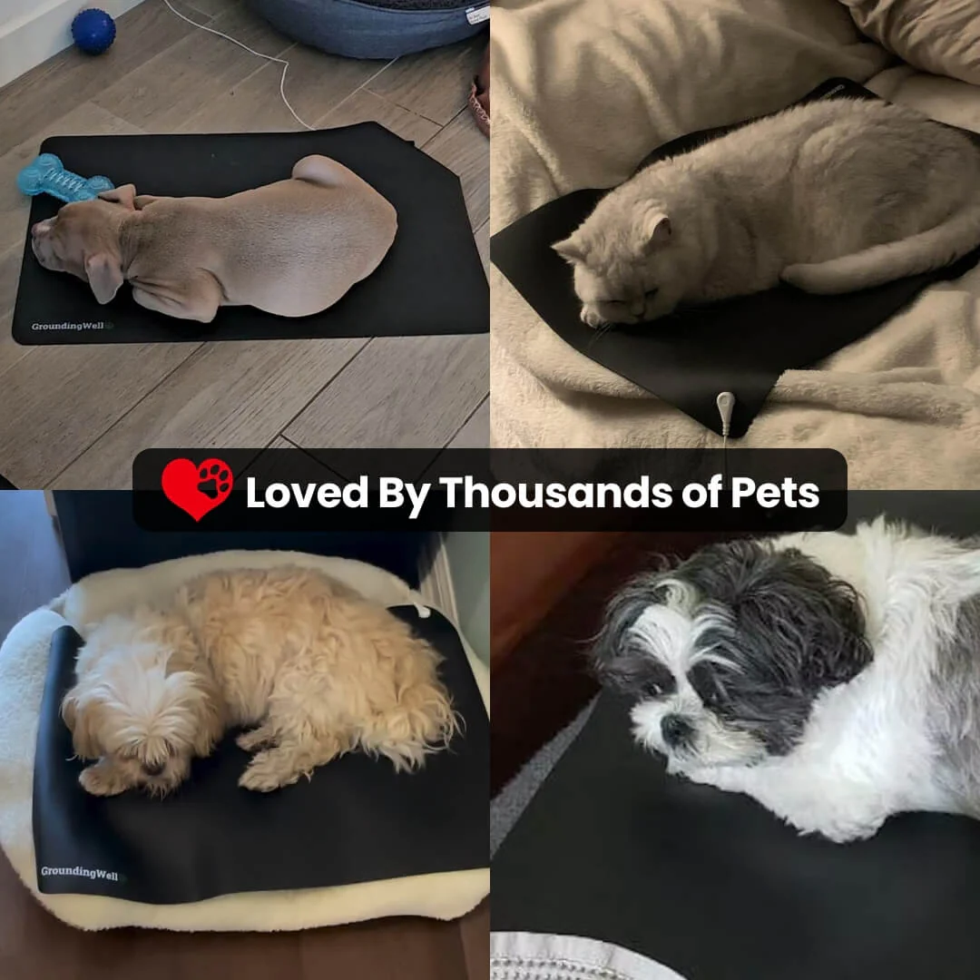 GroundingWell™ Pet Mat - Image 26